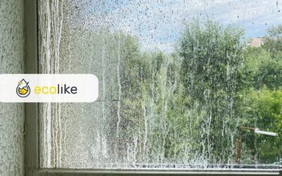 Czyszczenie trudnych zabrudzeń na oknach – jak poradzić sobie z tłustymi śladami i zaciekami?