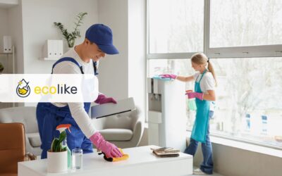 Profesjonalne sprzątanie domów – kiedy warto zlecić je firmie sprzątającej?