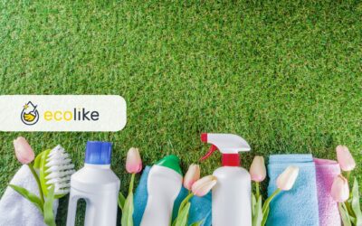 Wiosenne porządki w domu i mieszkaniu – skuteczne rady